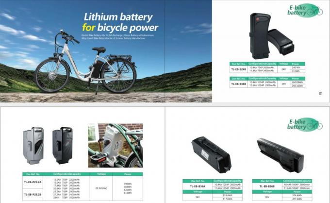 Replacement Samsung Zhenlong Phylion Mifa 48V Lithium Ion Battery Vehicle Battery